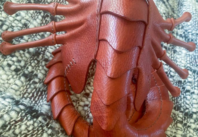 hugger-mask-4